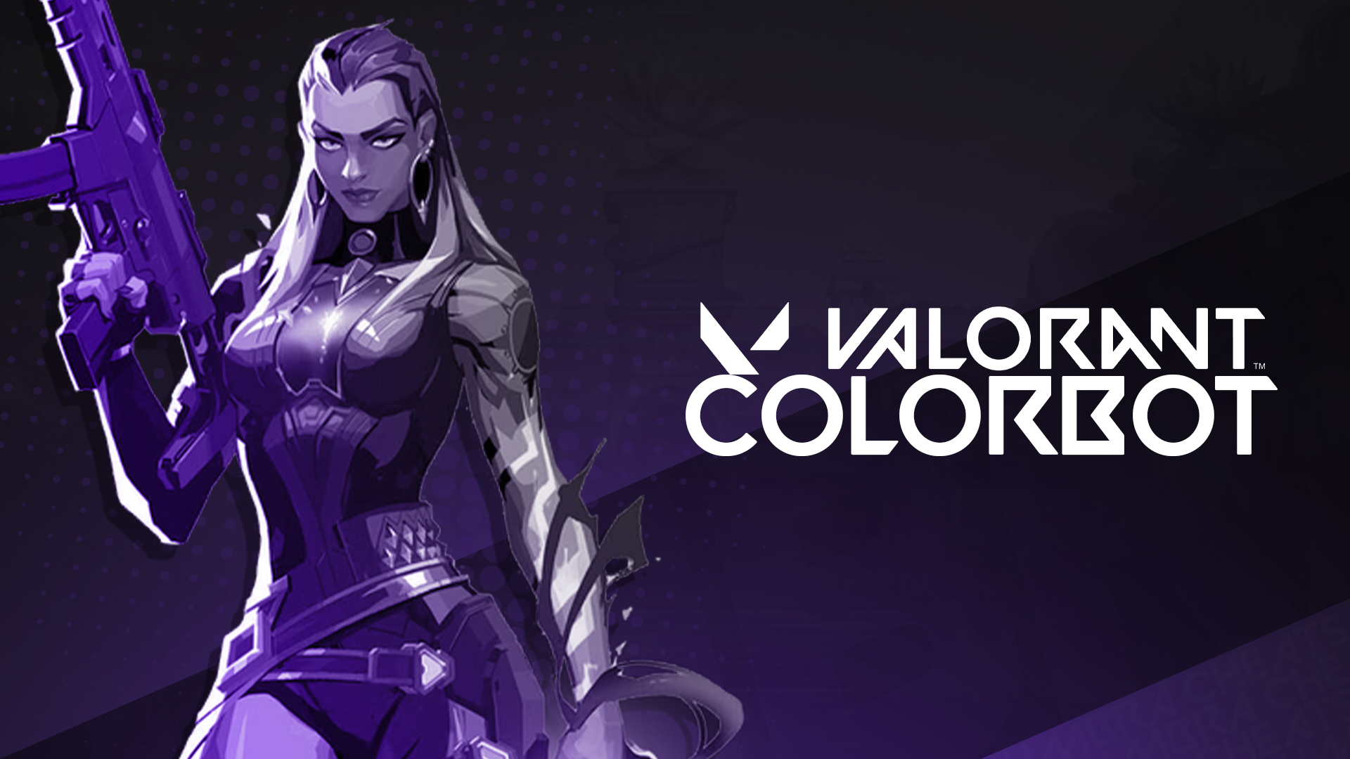 Valorant Color Bot