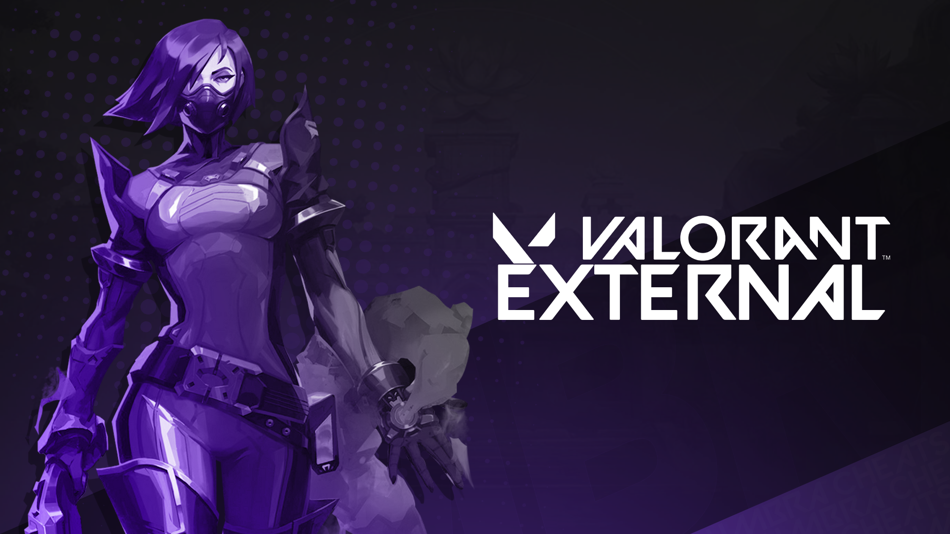Valorant External